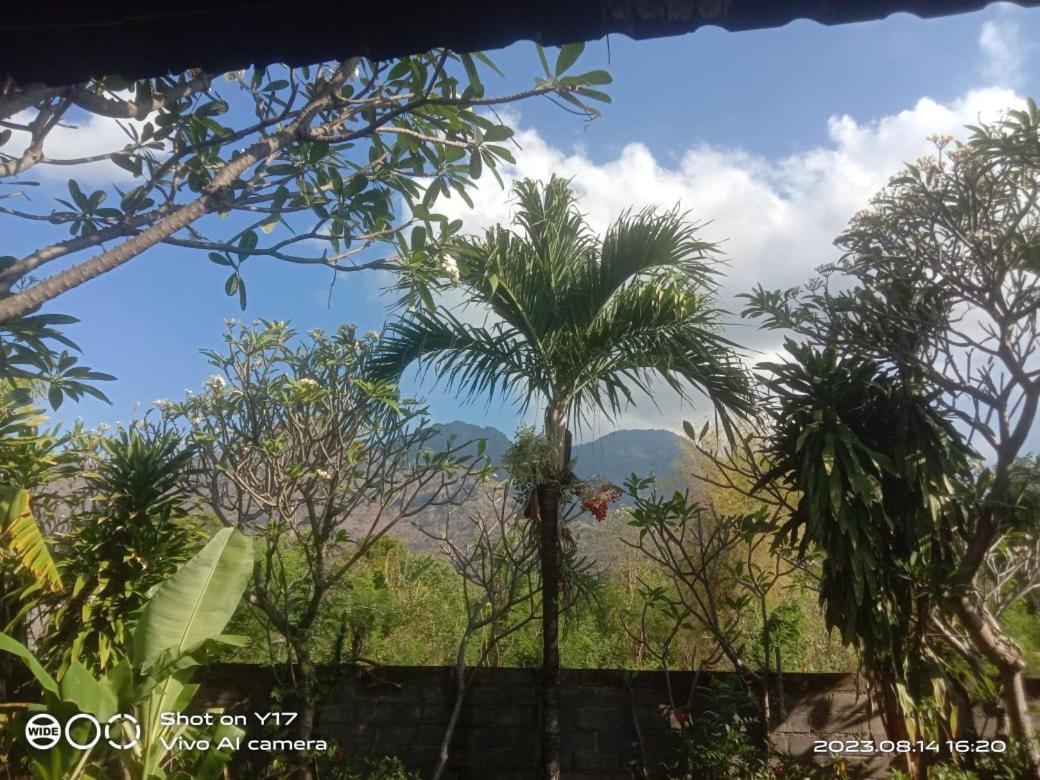 Tirta Bali Homestay Pemuteran Extérieur photo